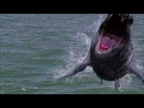 Dinoshark (2011) – Official Trailer