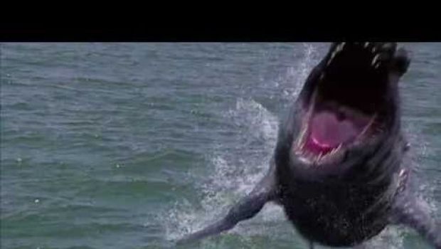 Dinoshark: il trailer del nuovo mostro marino