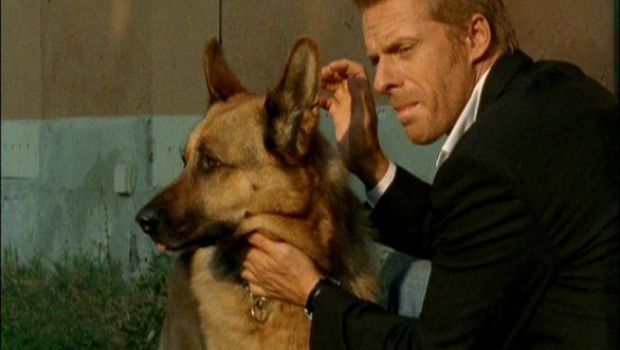 Ascolti Tv 5 luglio 2011 – Auditel: Rex con 3,7 mln (17%) stravince su Parenthood (10,69%). Tabloid all’8,58% superato da La Spada della Verità che vola al 12% nel terzo ep. Paperissima Sprint sempre il più visto (20,77%)