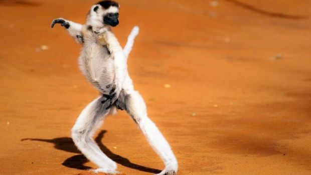 Tessa Gelisio torna su Rete4 con Lo spettacolo della natura, stasera alle 21.10