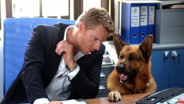 Ascolti Tv 26 luglio 2011: Rex (17,80% – 18,62%) vince anche in replica, molto bene la Audi Cup (12,67%) che supera La Spada della Verità (8,27% – 8,51% – 9,97%)