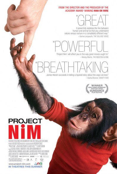 nim