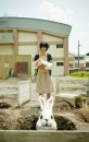 Festival di Venezia 2011: trailer e locandina di Tormented (Rabbit Horror 3D) di Takashi Shimizu