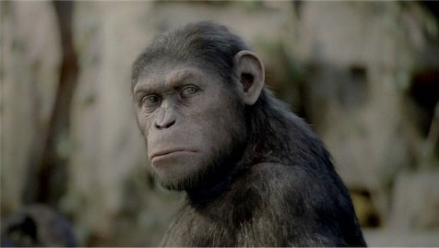 L’alba del pianeta delle scimmie: vi è piaciuto?