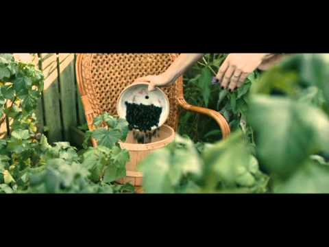 Melancholia Clip Il giardino
