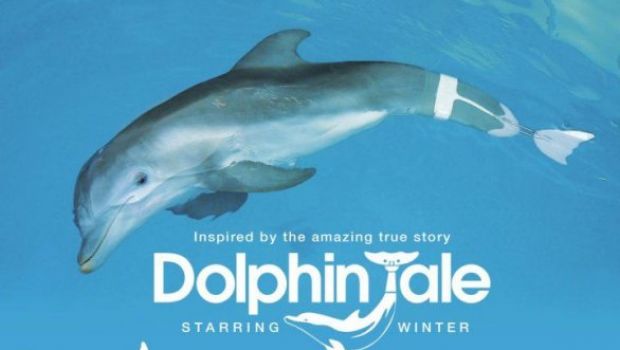 Dolphin Tale  a sorpresa in testa al box office americano: deludono le new entry