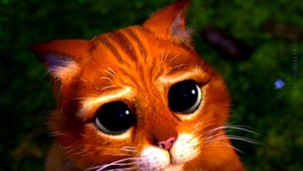 Il gatto con gli Stivali conquista il box office americano