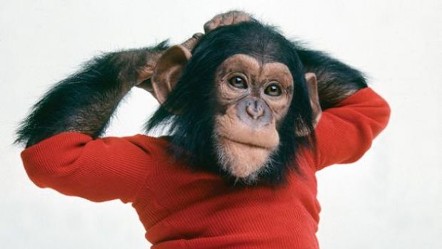 Oscar 2012: ecco la shortlist dei 15 film in corsa come Miglior documentario