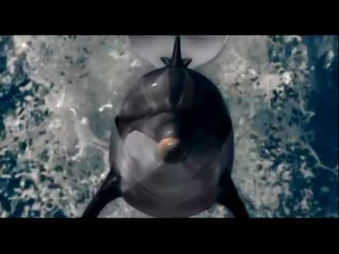 L’incredibile Storia di Winter il Delfino – Spot TV 1