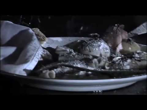 “Colour From the Dark” Trailer