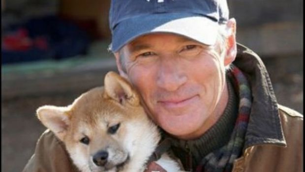 Ascolti tv di martedì 24 aprile 2012. Hachiko a 6,59 mln (23.98%), Ballarò a 4,04 mln (15.32%), House a 3,54 mln (12.49%) e 3,4 mln (13.59%)