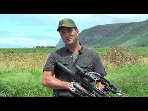 Piranhaconda The Movie, On the Kauai movie set!