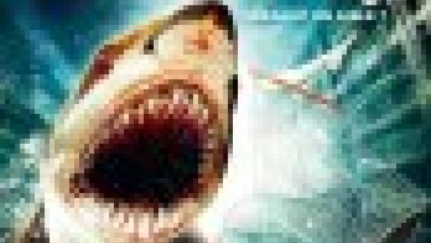 Bait 3D: nuovo trailer e locandina