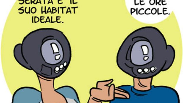 Habitat su misura