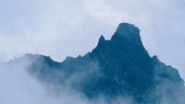 Crazy For The Storm: Sean Penn torna alla regia adattando Pazzo per la tempesta