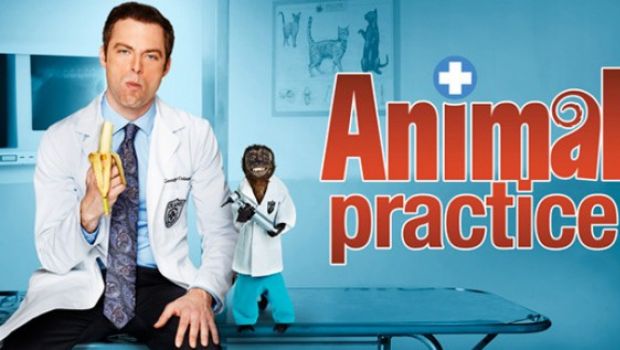 I telefilm che vedremo – Animal Practice (Nbc, foto e video). Anteprima questa notte in America