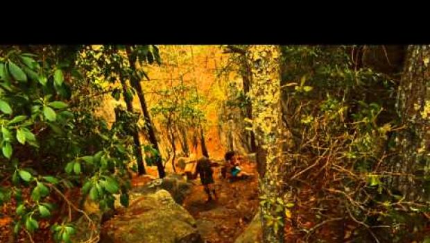 Moonrise Kingdom – Una fuga d’amore: trailer italiano