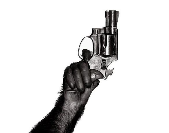 Dawn of the Planet of the Apes: prima foto promozionale per il sequel de L’Alba del Pianeta delle Scimmie