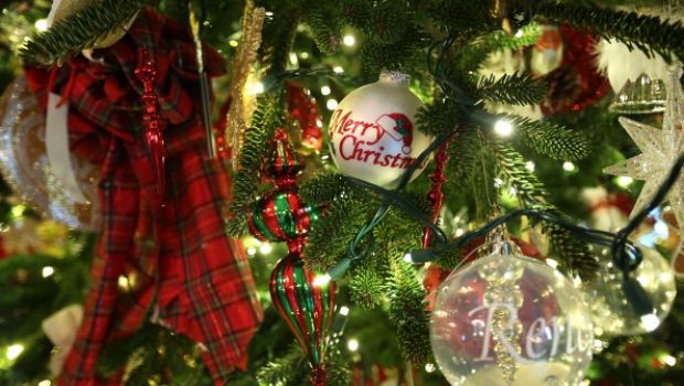 Programmi tv stasera, lunedì 24 dicembre 2012: Bambi, Concerto di Natale, Mamma Mia!, Una poltrona per due