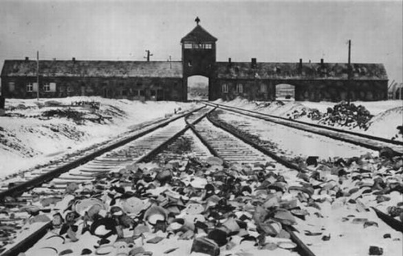 Programmi tv stasera, domenica 27 gennaio 2013: il Giorno della Memoria