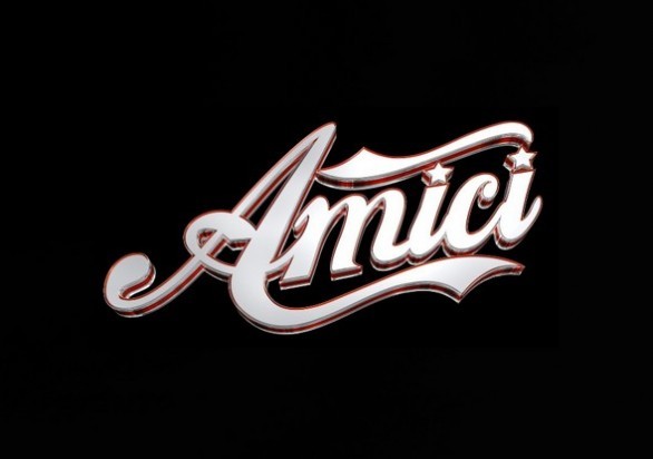 Amici 2013, serale: i cantanti ammessi