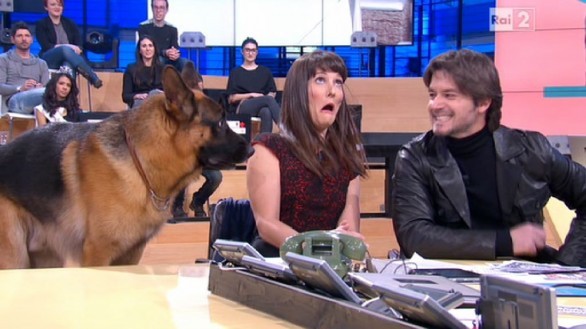 Ospiti in tv domenica 7 aprile 2013 – Rex torna a Quelli che, Giorgia e Saviano da Fazio