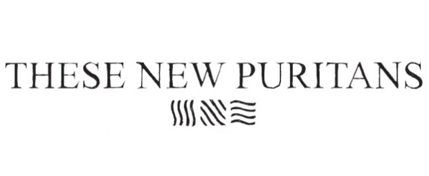 These New Puritans, Field Of Reeds è il nuovo album