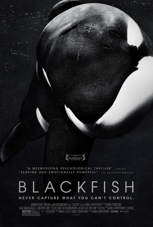 Blackfish – locandina del documentario
