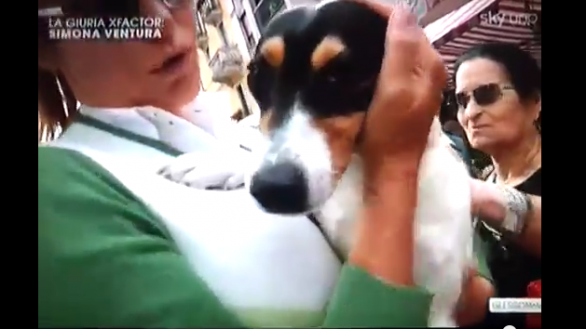 The Beautiful Life of Hugo, un nuovo reality sul cane della Ventura. Che promette e non mantiene