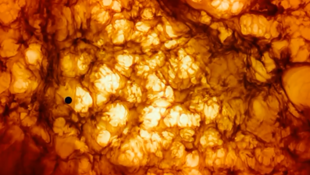 Voyage Of Time: i produttori denunciano Terrence Malick per non aver rispettato gli accordi