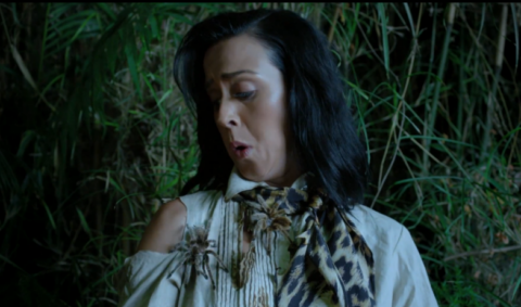 Katy Perry Roar, video ufficiale, testo e traduzione