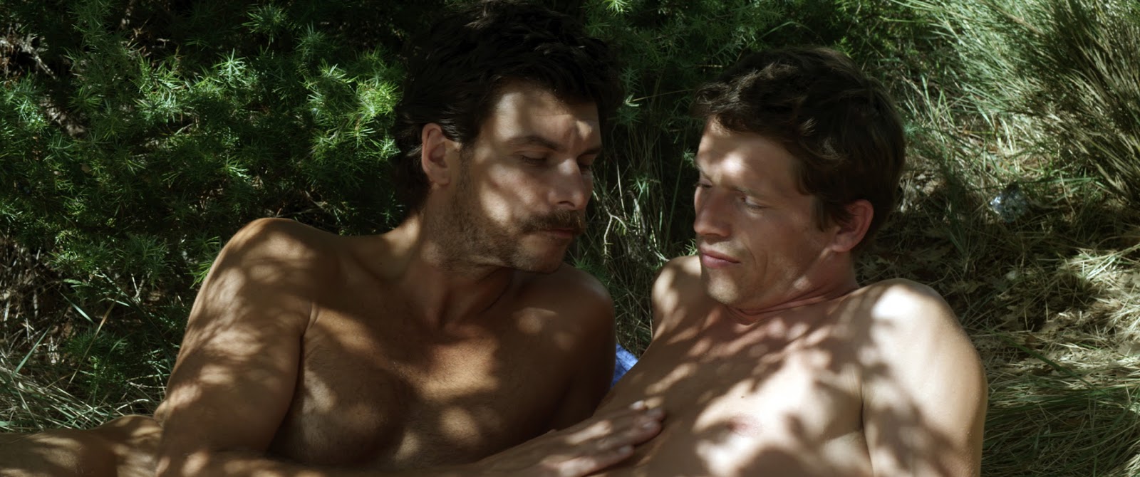 Lo sconosciuto del lago: il trailer italiano del film scandalo di Cannes 2013
