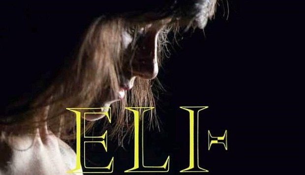 Classifica album Italia 24 ottobre 2013: Elisa batte Alessandra Amoroso e debutta prima. Pearl Jam secondi, Paul McCartney quarto