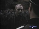 NUEVO TRAILER METEGOL