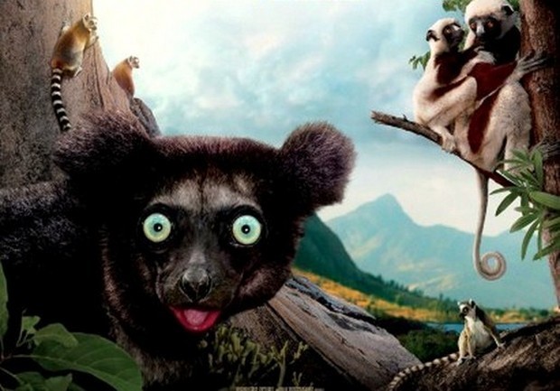 Island of Lemurs: Madagascar – trailer e poster del documentario in 3D narrato da Morgan Freeman