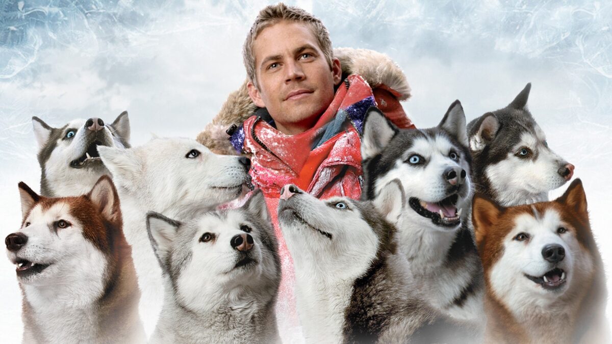 Stasera in Tv, 8 Amici da Salvare, con Paul Walker, su Italia 1