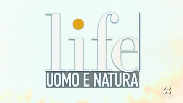 Life – Uomo e Natura, su Rete 4 tre speciali per Natale 2013