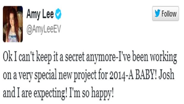 Amy Lee, nuovo progetto per il 2014: un bambino!