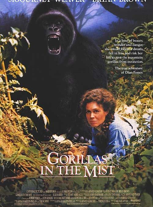 Gorilla nella nebbia: curiosità del film su Dian Fossey