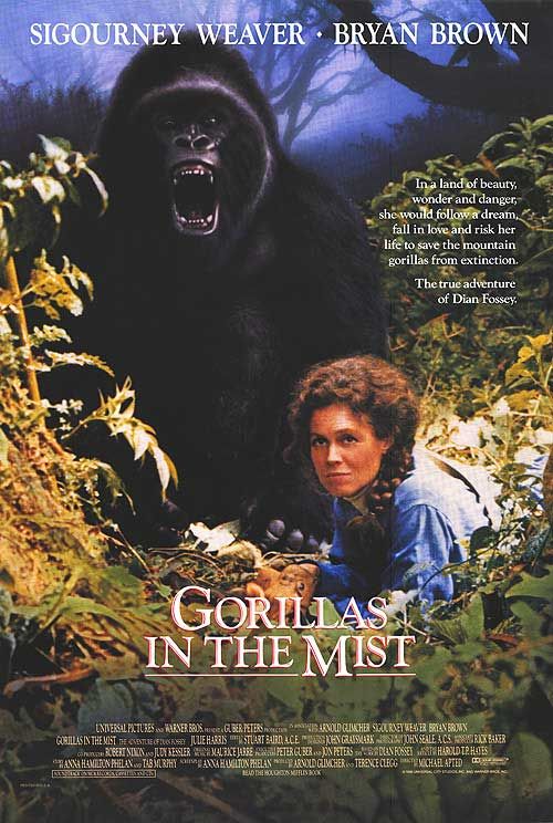 Gorilla nella nebbia: curiosità del film su Dian Fossey