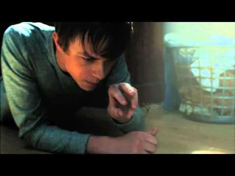 NEBRASKA – Clip – Avere figli