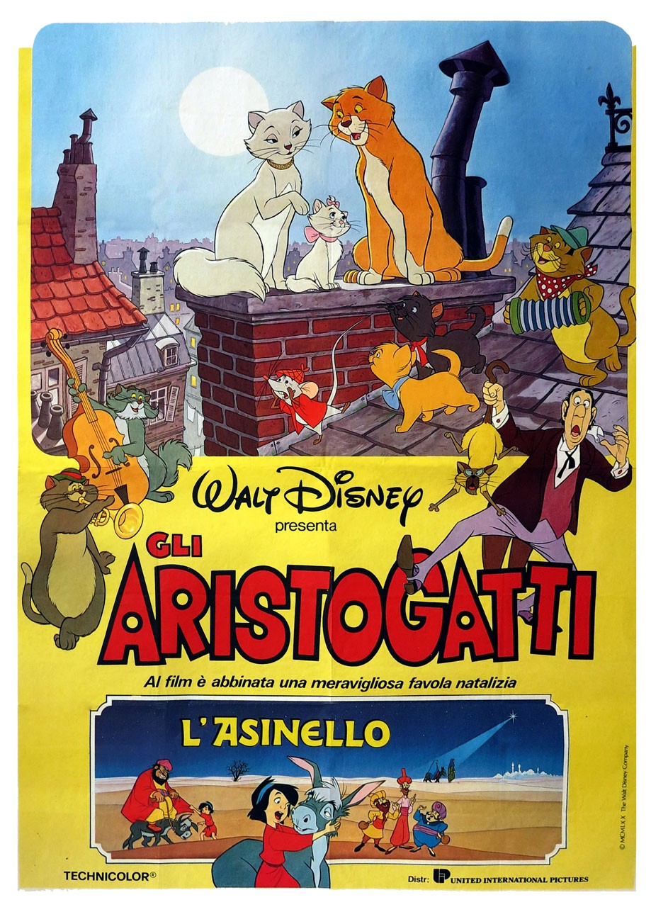 Miao, si gira!