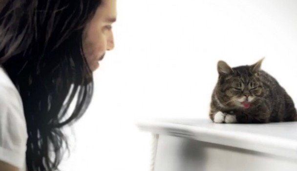 Andrew WK, Star Party Animal: il video con la gatta Lil Bub