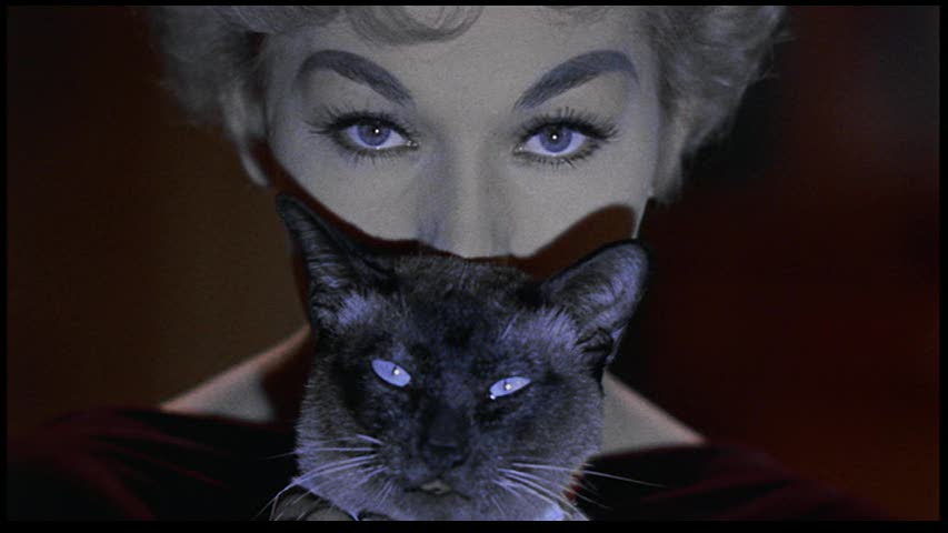 17 febbraio 2014: 6 film da guardare per la Festa del Gatto