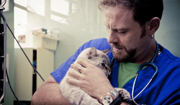 Emergenza Veterinaria, su SkyUno la clinica degli animali diventa docufiction