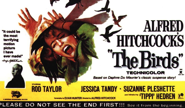 Gli Uccelli di  Alfred Hitchcock – Diederik van Rooijen dirige il remake
