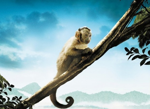 Amazzonia 3D – trailer italiano e poster del film documentario
