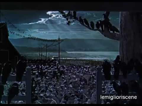 Gli Uccelli – Hitchcock – Scena Finale