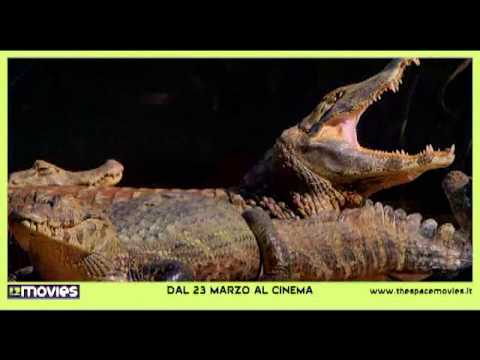 Amazzonia Trailer