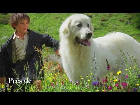 Lyrics video de Belle et SÃ©bastien